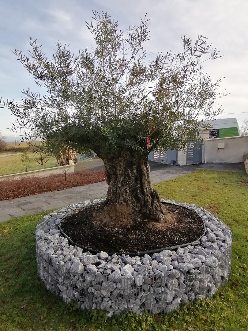 ADM Multiservices — Photos 14